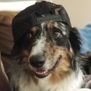 Meet your Posher, Ian